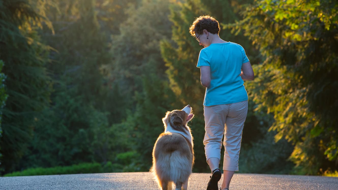 woman walking dog on paved road surrounded by trees