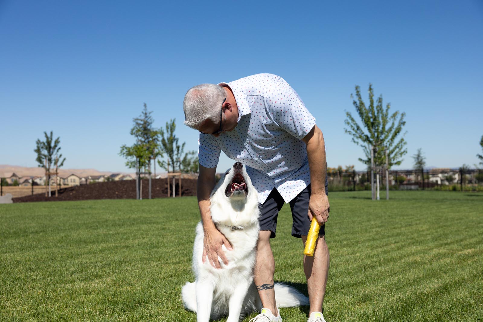 Dog Park Now Open