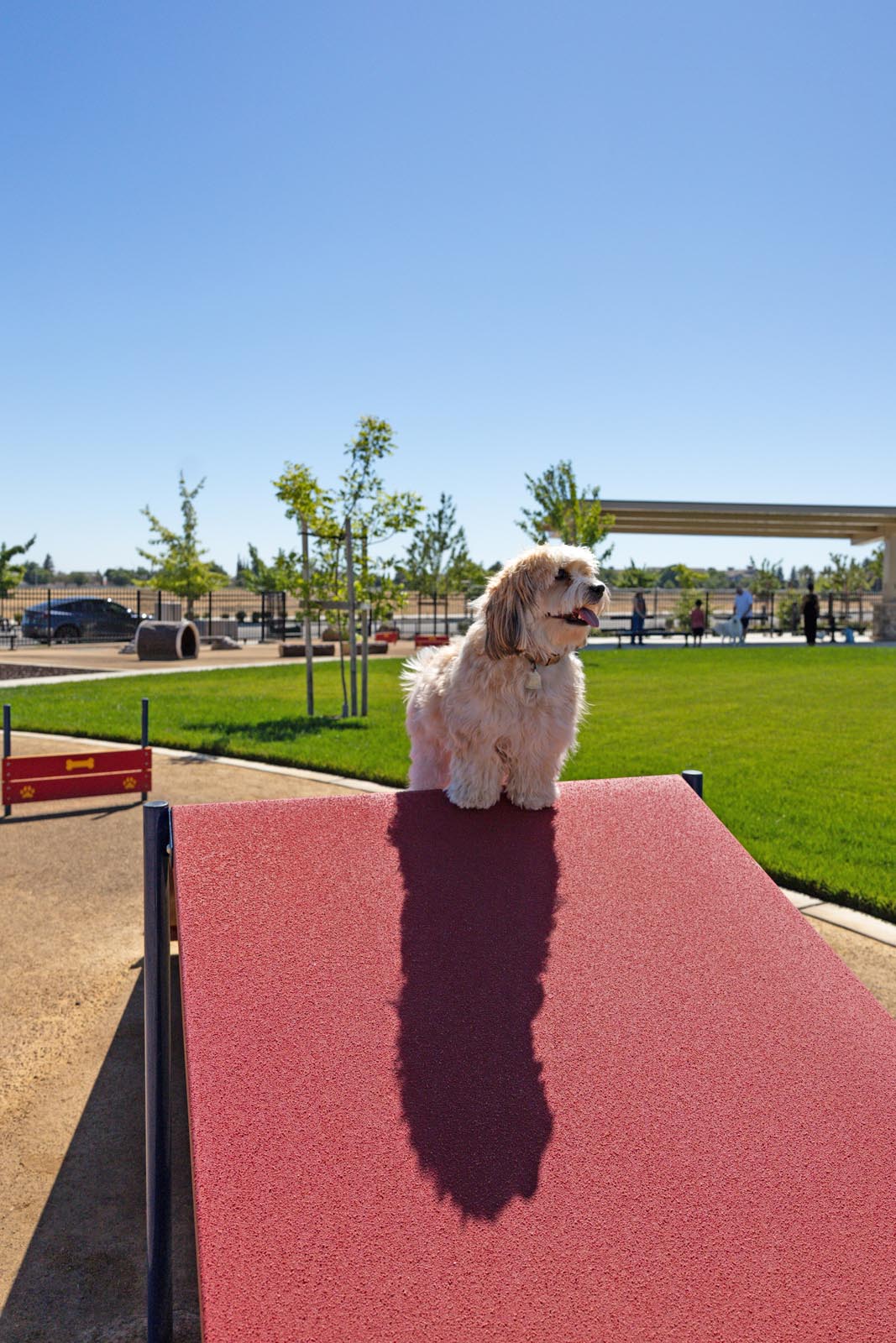 Dog Park Now Open
