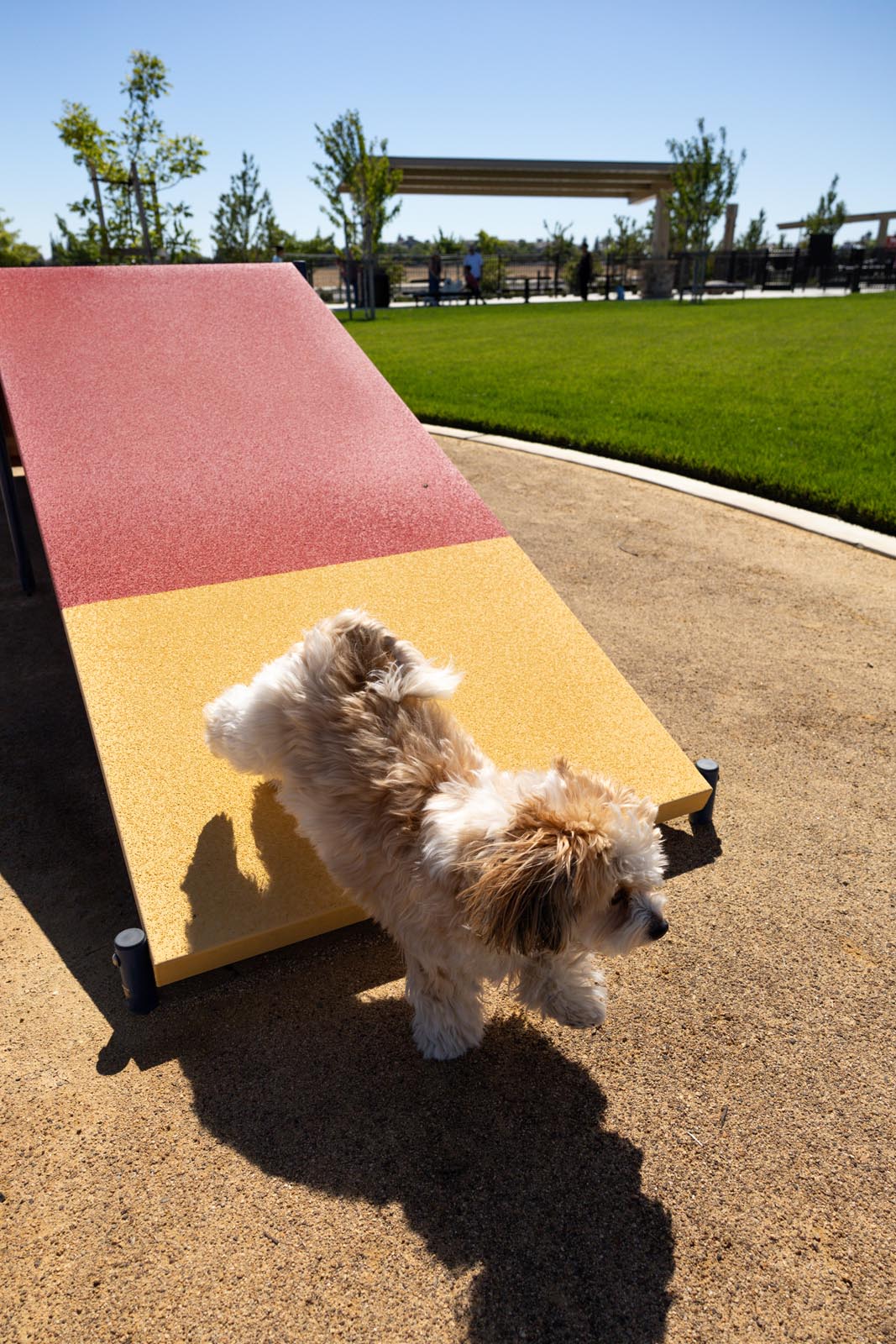 Dog Park Now Open