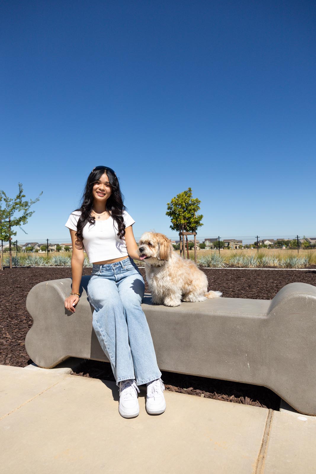 Dog Park Now Open