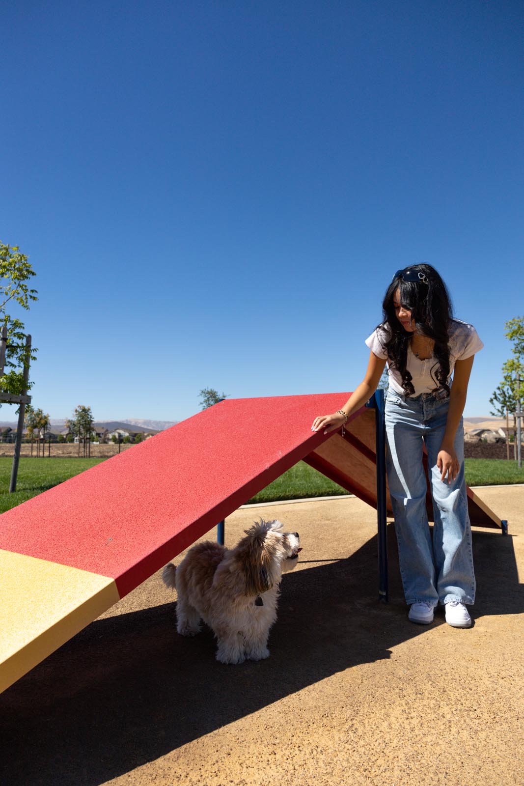 Dog Park Now Open