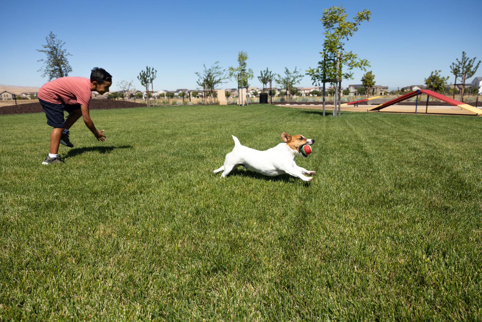 Dog Park Now Open