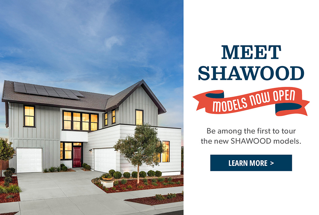 MEET SHAWOOD - MODELS NOW OPEN